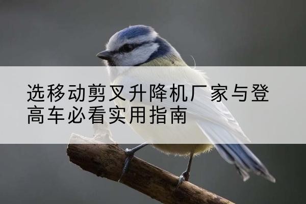 华容电动升降机厂家-选移动剪叉升降机厂家与登高车必看实用指南