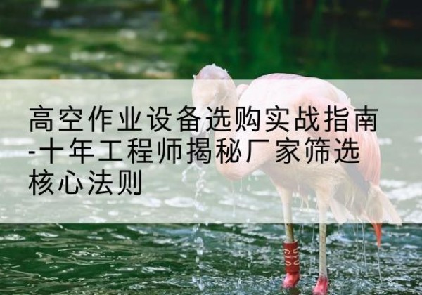 华容剪叉式升降机厂家-高空作业设备选购实战指南-十年工程师揭秘厂家筛选核心法则